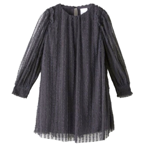 Zara Other - Zara Tulle Dress